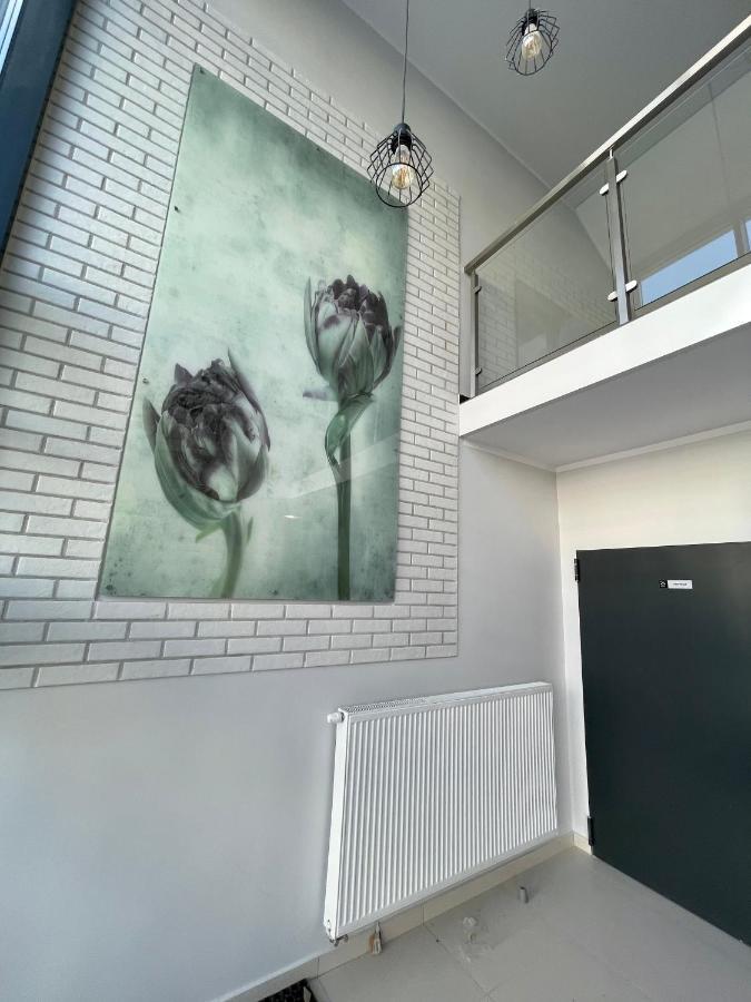 Vintage Exclusive Series Apartment
